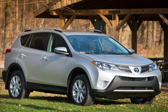 RAV-4