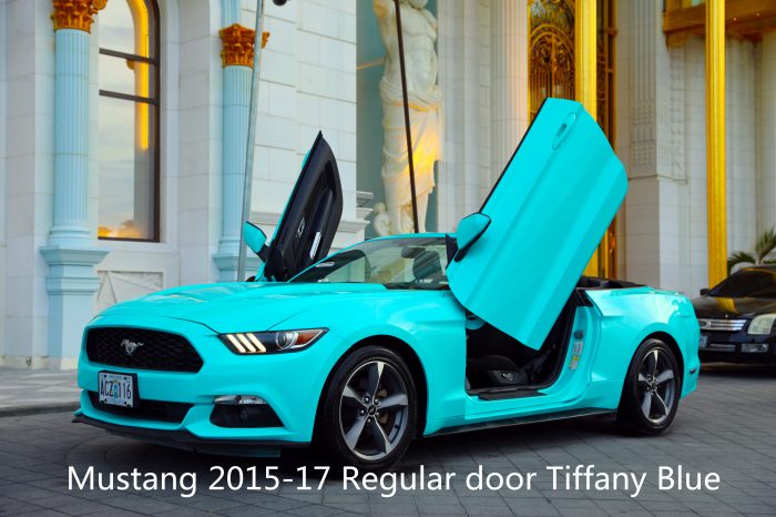 Mustang 2015-17 Regular Door